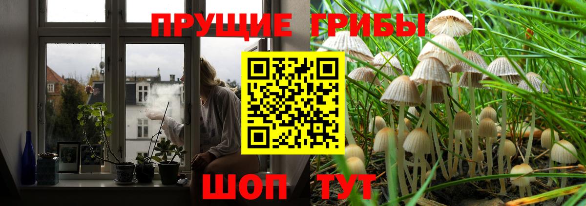 Галлюциногенные грибы GOLDEN TEACHER  Псилоцибиновые грибы MAGIC MUSHROOMS  Вход с VPN  закладка  Москва 