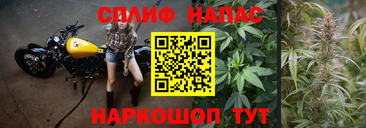 Каннабис марихуана  Бошки марихуана семена  Вход с VPN  Москва 